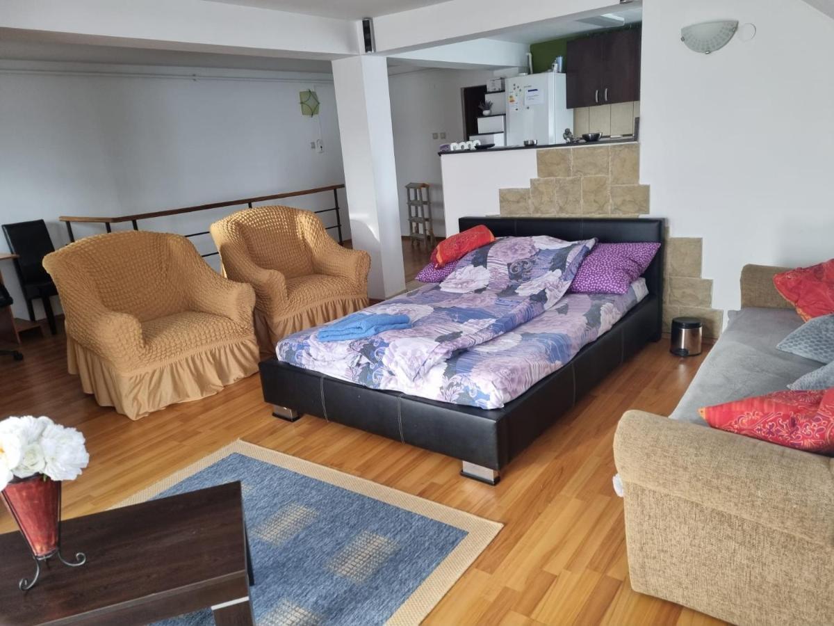 קלוז'-נאפוקה Penthouse Apartament 2 Floors, 2 Bedroom , 2 Bath, 120 Sqm , Inside Yard Parking מראה חיצוני תמונה