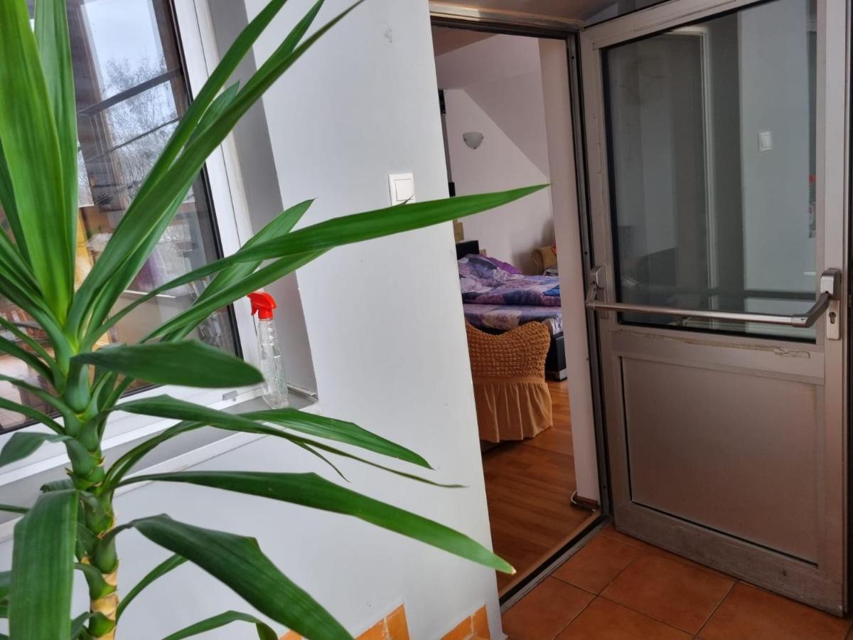 קלוז'-נאפוקה Penthouse Apartament 2 Floors, 2 Bedroom , 2 Bath, 120 Sqm , Inside Yard Parking מראה חיצוני תמונה
